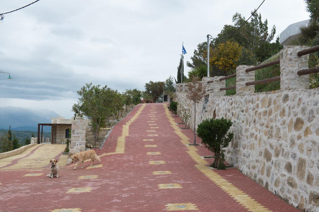 Villas Alexandros Petrino Kalamaki  Room photo